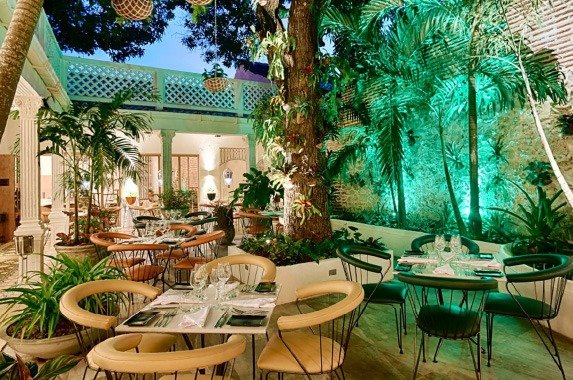 WhatsApp Image 2025-03-22 at 1.46.29 PM